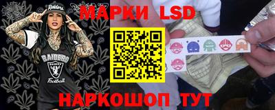PSILOCYBIN Новозыбков