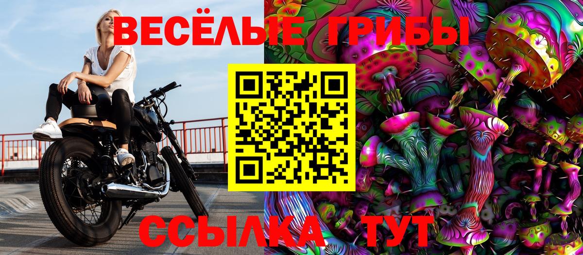 Славянск-на-Кубани  Галлюциногенные грибы мухоморы  Галлюциногенные грибы ЛСД  Вход с VPN 